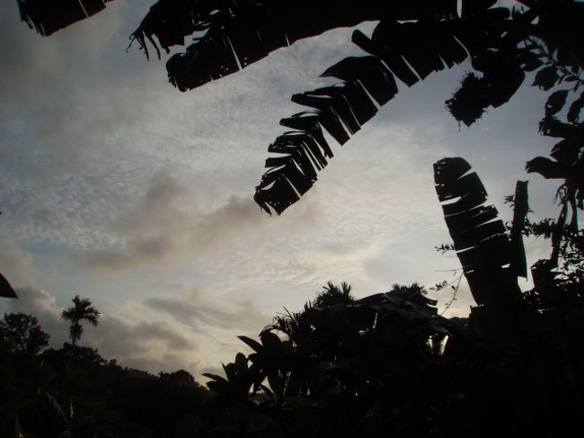 自然がいっぱいでのんびり心が洗われます。