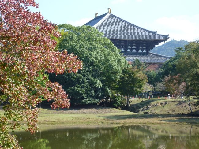 東大寺の大仏殿の横を過ぎて大仏池の脇をとおり、転害門へと抜ける道は私の奈良で大好きなコースです。<br /><br />参道の喧騒から抜け出して、ここには思い思いにスケッチをしたり、ビニールシートを広げてのんびりご飯を食べていたり、そして遠くに大仏殿が見えたりしていて、とても気持ちのいい、そして穏やかな気持ちになる場所です。<br /><br />ここを日常的に散歩したい、そのために奈良に住んでみたい、と思ったりします。