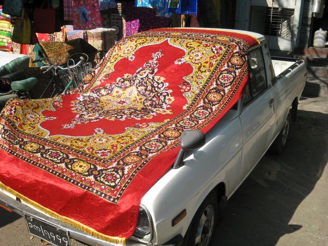 派手な布に覆われたサニトラくん。