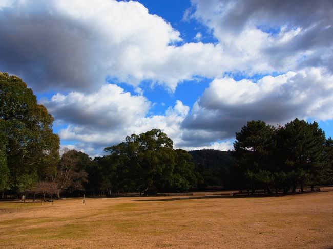 奈良公園。<br />ピクニックでもしたいところですが、鹿の・・だらけだ！
