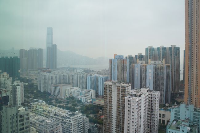 部屋からのビュー