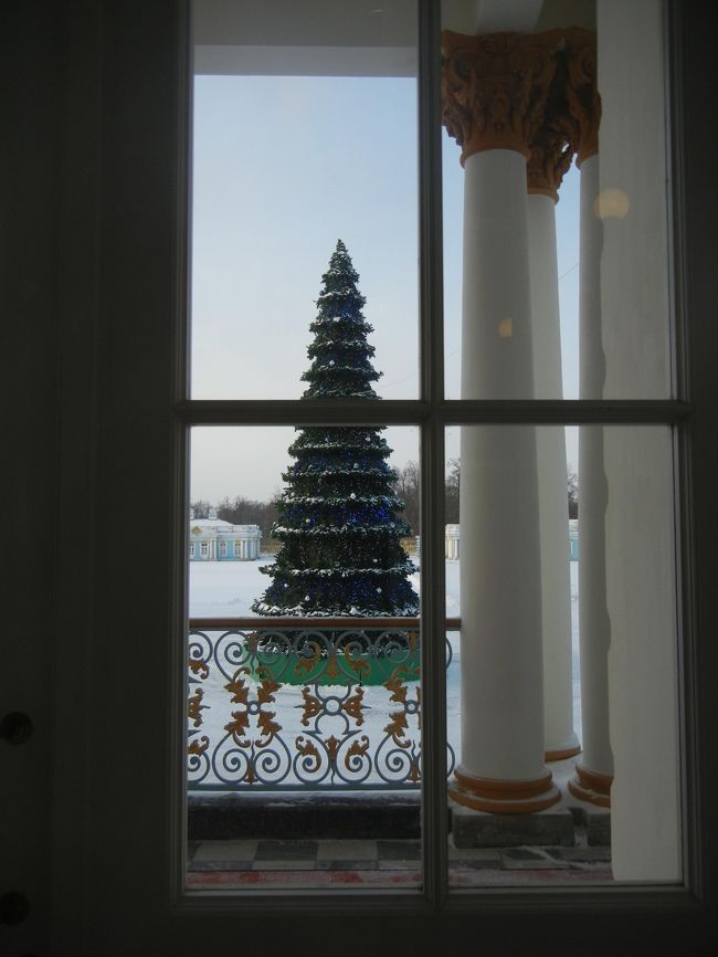 中庭にはクリスマスツリー☆