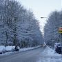 【ドイツ】クリスマスマーケットめぐり　欧州は大寒波　～2日目～