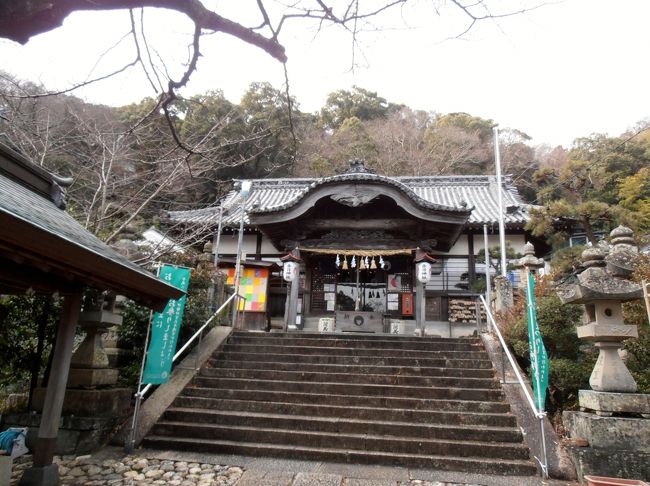 『徳島に黄花亜麻を訪ねて』徳島市(徳島県)の旅行記・ブログ by ohchanさん【フォートラベル】
