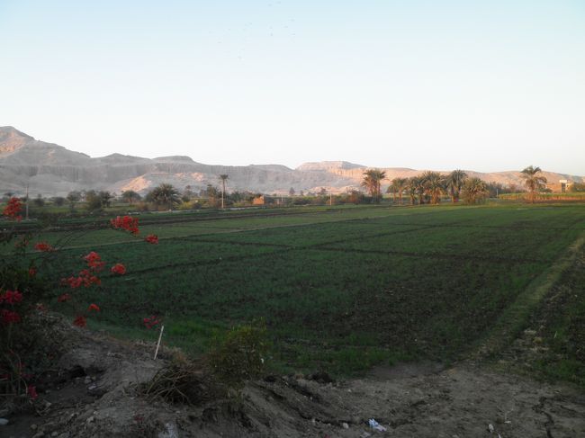 帰りは朝観光したメムノンの巨像を素通りして、フェリー乗り場へ行きました。