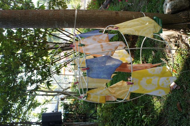 チェンマイ 花博