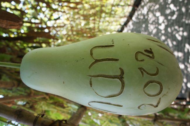 チェンマイ 花博