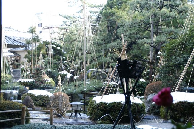 ロビーから眺めた手入れのされた中庭。連日放送される北陸地方の大雪情報でしたが、この地方は大雪にはなりにくいようです。