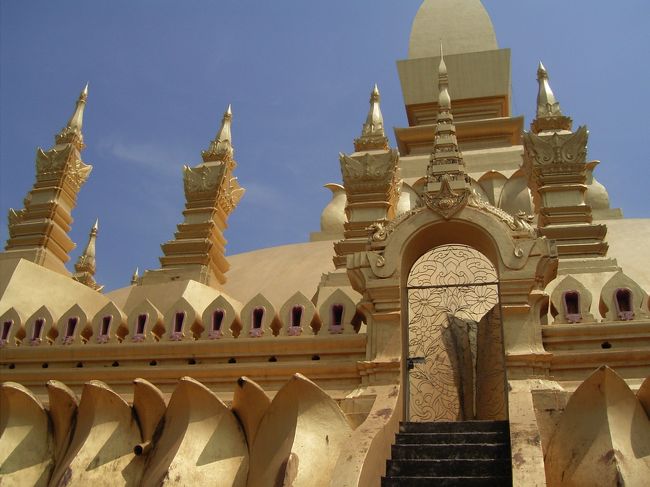 タートルアン。金色。