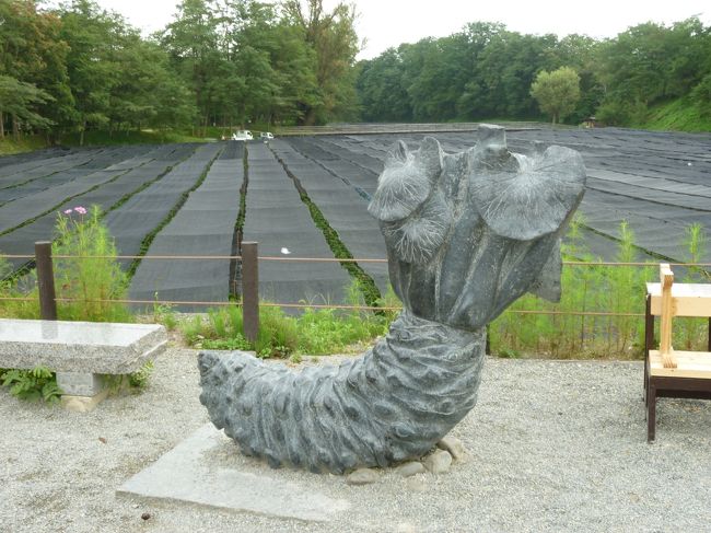 わさびのオブジェ