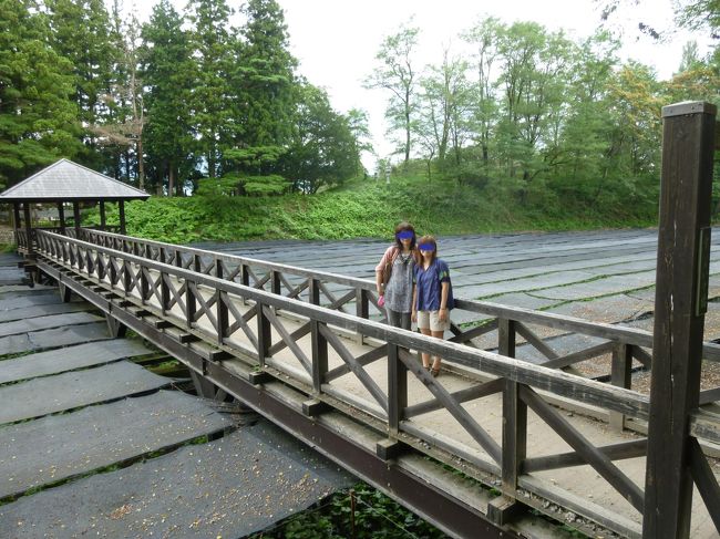 わさび田は広大でお水が本当にきれい