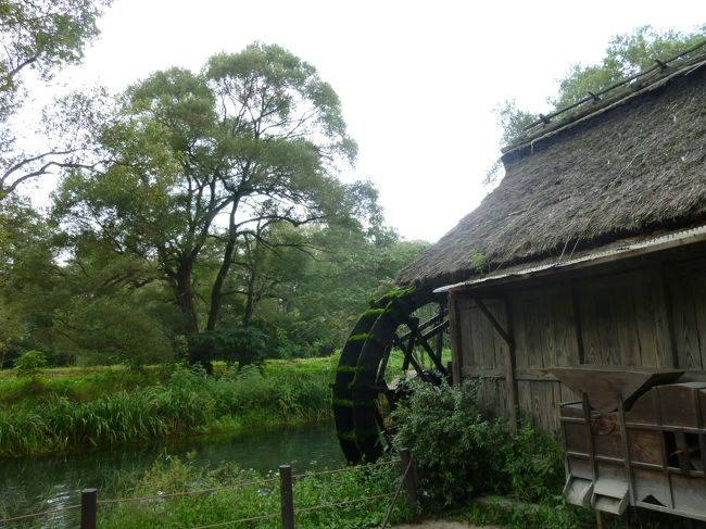 黒沢明監督の映画の舞台