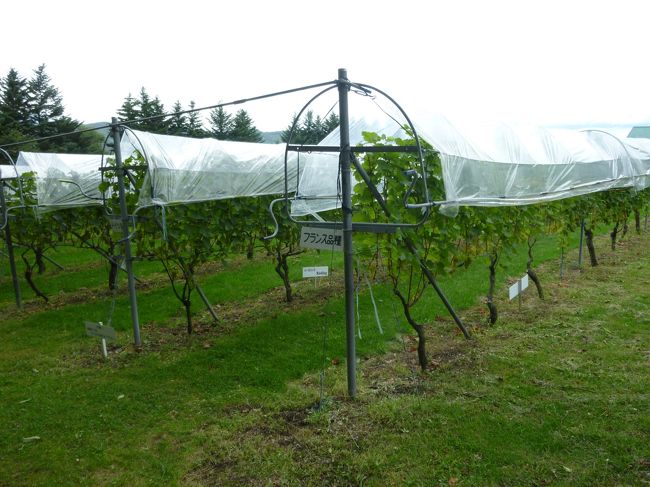 マンズワイン小諸ワイナリー<br /><br />小諸インターからすぐ近くです<br />