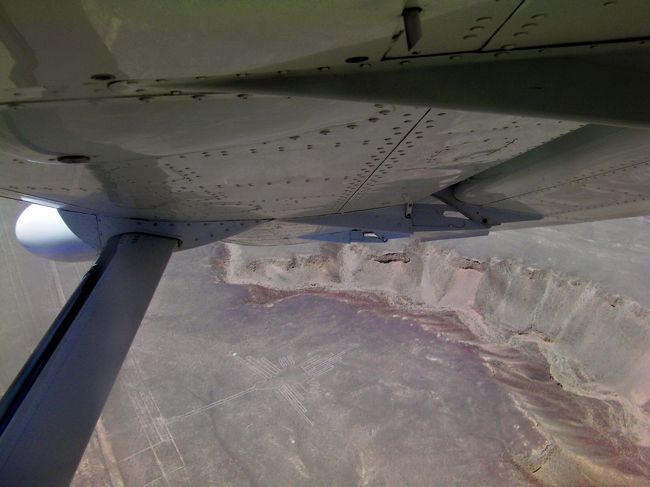 どちらかと言うとこちらがメイン。<br />なすかの地上絵をセスナから鑑賞です。<br />ハミングバード、これはおさえておきたかった。<br />必ずと言っていい程に毎回乗り物酔いする私ですが、興奮しすぎていたからかなんともなくて楽しかったー！<br />何かで『朝は堕ちにくい』と読んだ気がします。<br />確かにこの数時間後、午後のフライトで一機堕ちたそぅです・・・。