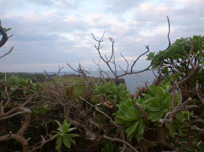 早起きして万座毛へ。<br /><br />あれ、今日も天気が…