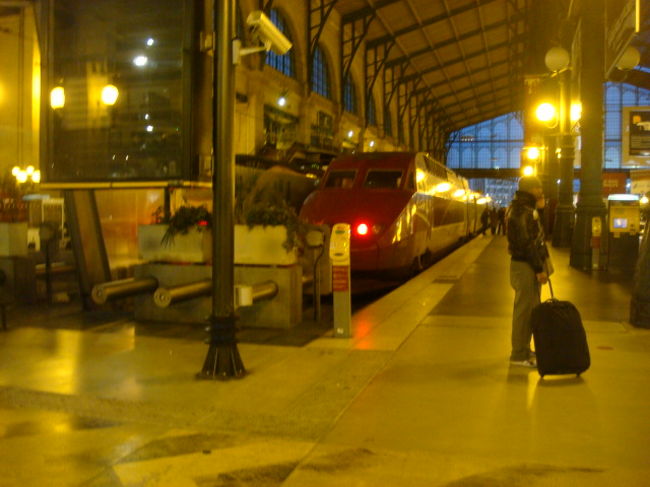 朝食を簡単にとって地下鉄でGare du Nordへ。<br />タリスかわいい！<br />８時55分発Bruxelles midi行き。<br />今回どうしてもタリスに乗ってみたかったので、<br />日帰りのブリュッセル行を計画。<br />日本でrail europe からキャンペーンのチケットを<br />とっておいたので、1等で58ユーロ。<br />