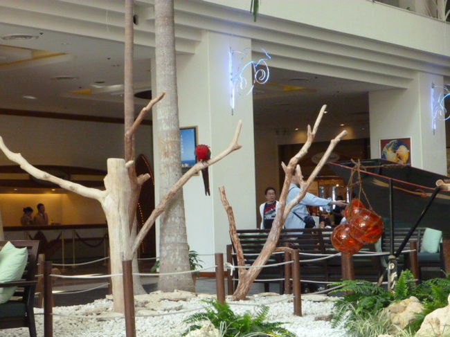 ロビーにオウムがいます。