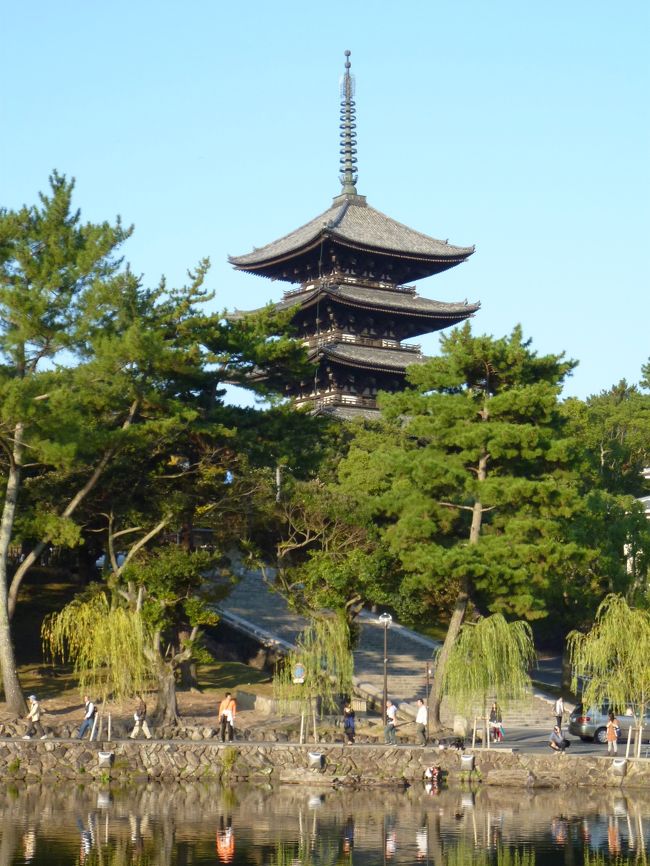 １１月５日（土）最終日♪♪<br /><br />８：３０に猿沢の池のほとりのよしだや旅館を出発して今日は近鉄をつかって桜井に向かいます。