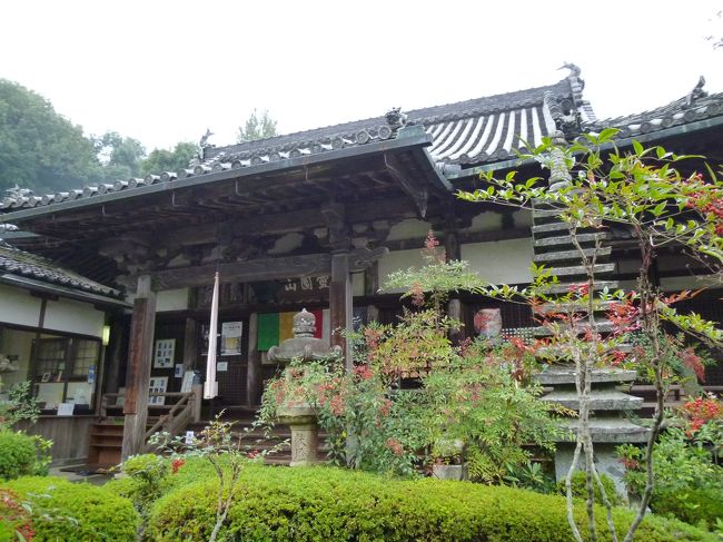 本堂では秘蔵の曼荼羅の特別展示が行われていました。<br />江戸時代の星曼荼羅には星座の絵がありました。<br /><br />無事に雨がやんだ帰り道は下りなのであっという間に桜井駅に到着！<br /><br />駅前の韓国料理のお店で遅いランチをしました。<br />