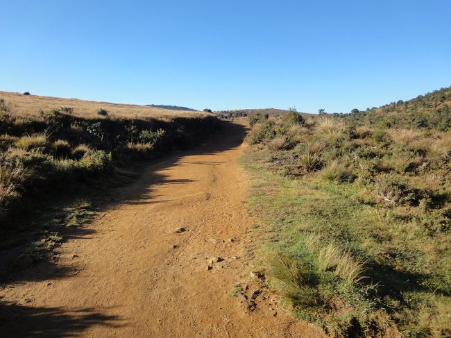 まずは、赤土の道を歩き出す