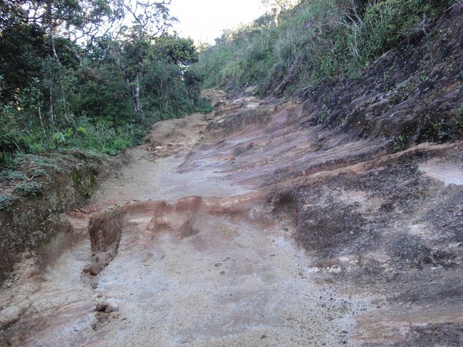 どんどん道が悪くなり足をよくくじいてしまった