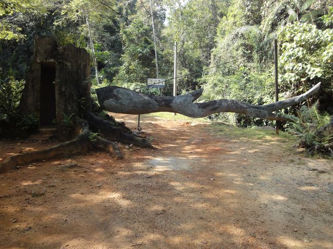 木がゲートになっている<br />倒木を有効利用