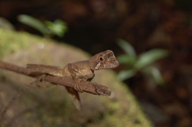 色を変えておる