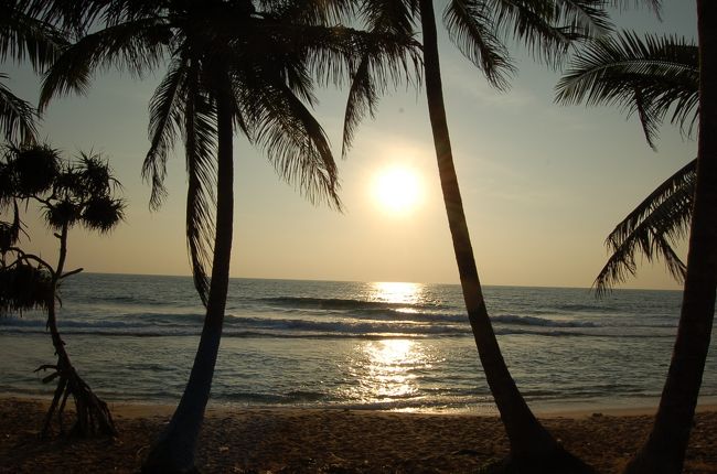 インド洋 with やしの木