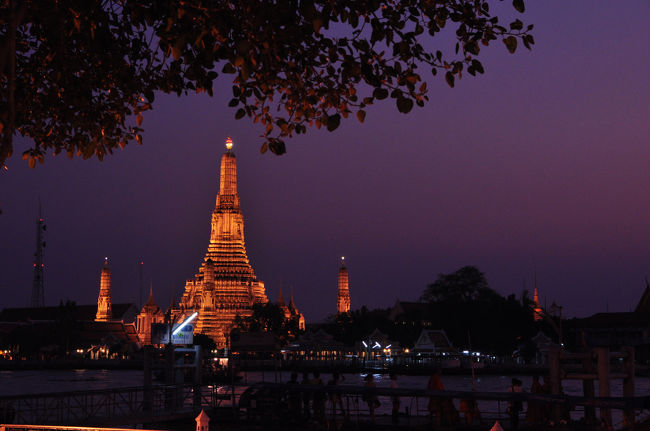 そして華やかな夜のショーのはじまり、はじまり。