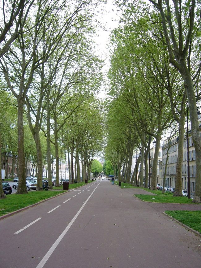 素敵な木立。<br />こんなところ馬車で駆け抜けていったのでしょうか・・・。<br /><br />オーストリア贔屓なので（前年にウィーンに行った所為で、ハプスブルク家贔屓なのです）マリーアントワネットも、彼女の悲しみと寂しさの観点から見てしまいます。<br />