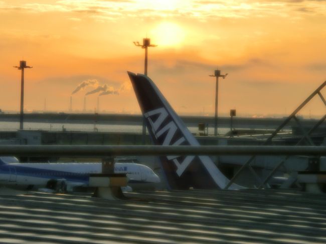 外を見てたら、<br />お、あの尾翼はもしかして・・