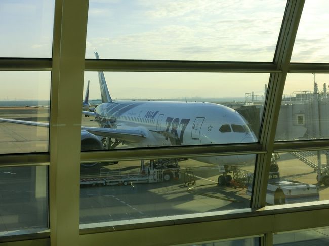 ボーイング７８７だーー<br /><br />就航して、もう結構経っちゃったから<br />あまり一生懸命写真撮ってる人はいないのね・・<br />でも、私は初めてなので<br />興奮です！