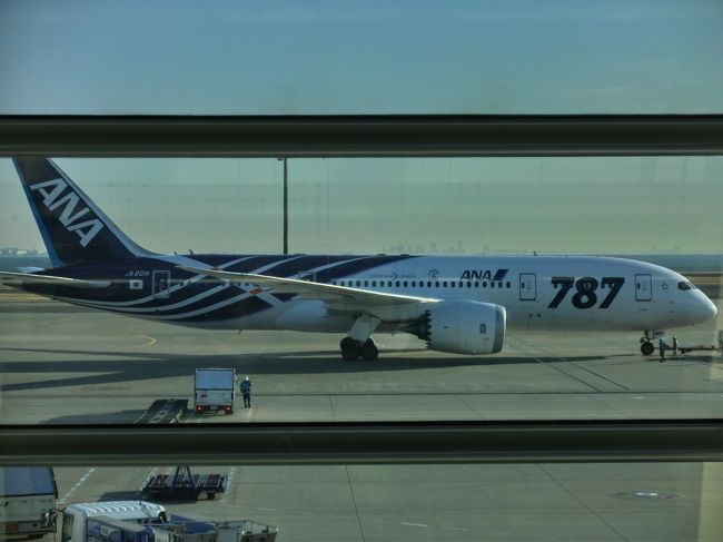 乗ってみたいーー