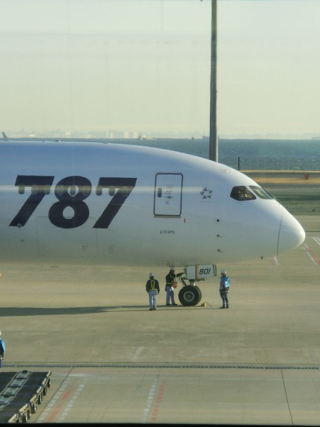 思わず手を振る・・・<br /><br /><br />でも、そのうちみんな７８７になるんだろうな・・・