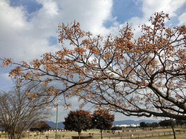 廻りは池や散歩コースが整備され<br />犬を連れた地元の方が<br />多く見られた。<br /><br />広々としてて、気持ちいいね。