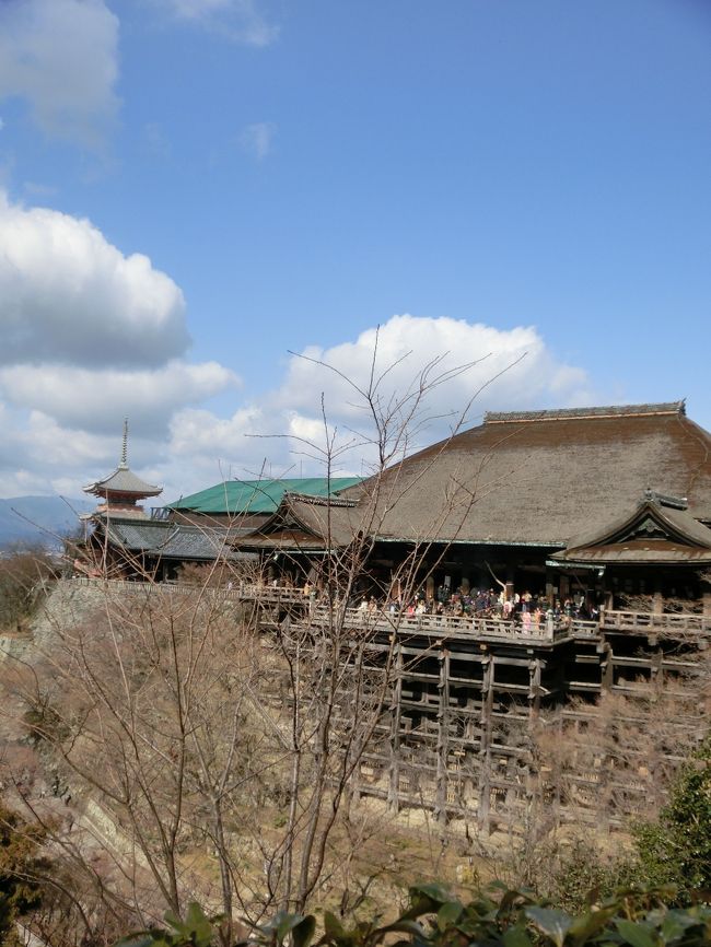 京都っぽいでしょ！