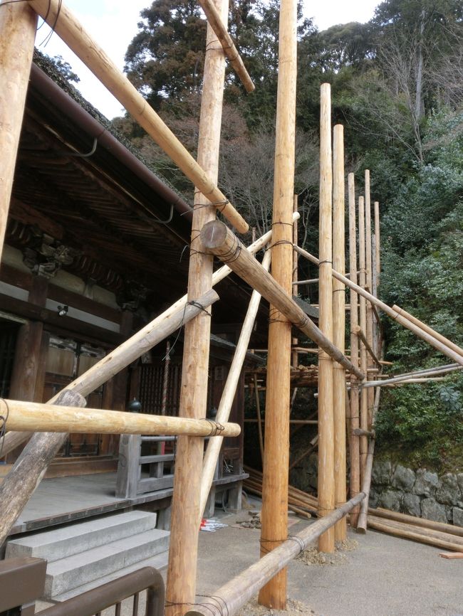 宮大工さんの<br />改築の足場は「木」です