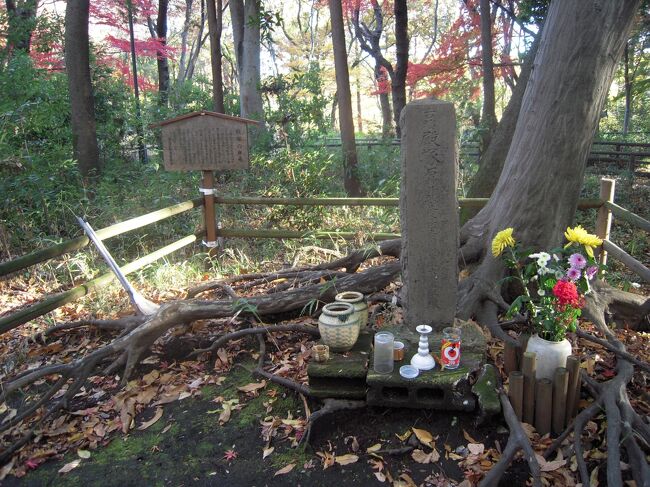 武蔵練馬 道灌ゆかりの地を訪ねる・隅田川水系に広がった領地を有した豊島氏が長尾景春の乱で対立した太田道灌軍に制圧され落城した『石神井城』訪問