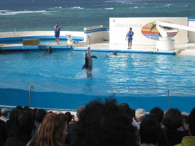 美ら海水族館<br />おきちゃんショーの見学です。