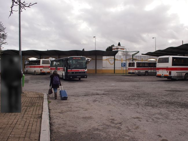 ん？　どのバスだろう・・キョロキョロしてると　向こうに見えるバスの運ちゃんが　おいでおいで　と手招き。