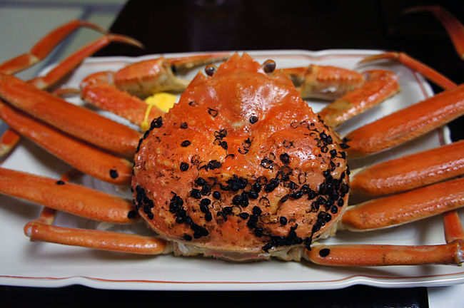 これが冬の味覚の王者、越前ガニ。<br /><br />毎年皇室にも献上しているのだそうです。<br /><br />