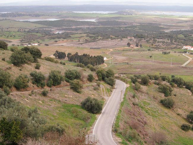 この坂道を　上って来たんですね。