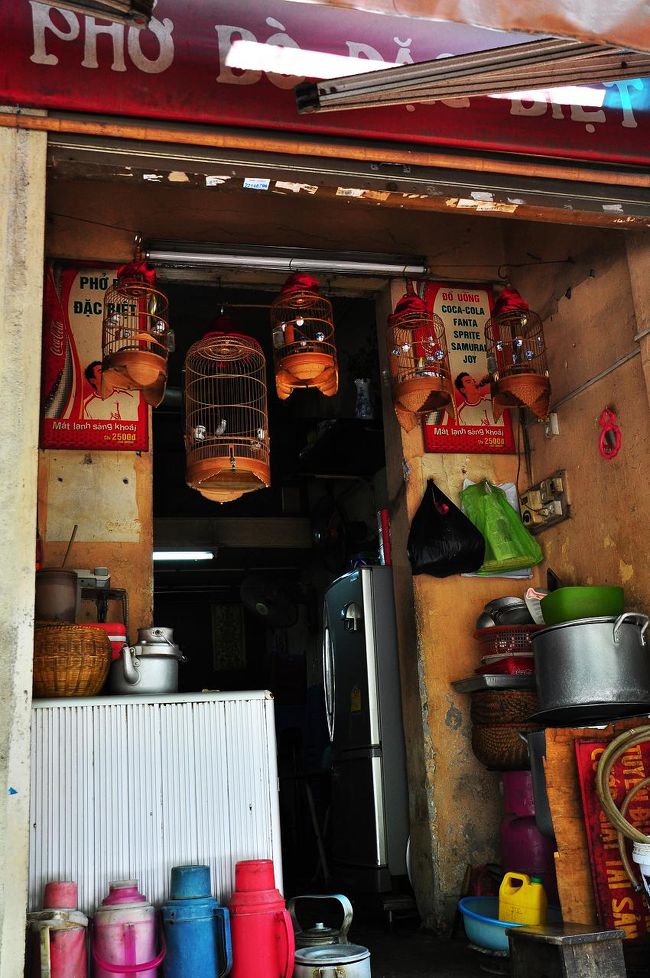 ハノイのお店ではよく鳥カゴを見かける。<br /><br />中にいる鳥はなんだか野鳥のような地味な子達。<br />商売繁盛とか何か意味があるのかな？