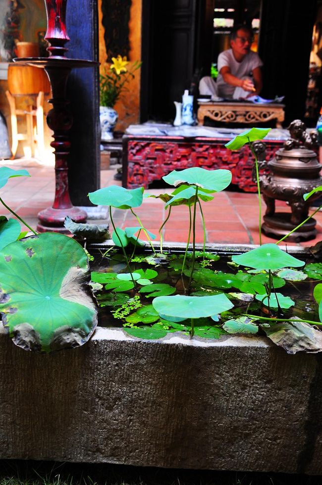 ８７マーマイの家は２階建てで、さほど奥行きがあるわけでもないので、すぐに見終わってしまう。