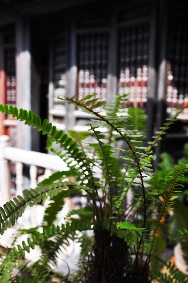 考えてみると、見所らしい見所があまりない旧市街の中で唯一金を払って入った観光スポットがここでした。