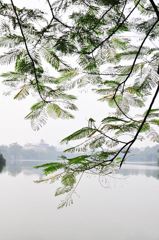 翌朝、ホアンキエム湖。<br /><br />朝のホアンキエム湖には色んな変な人がいると聞いて行ってみた。