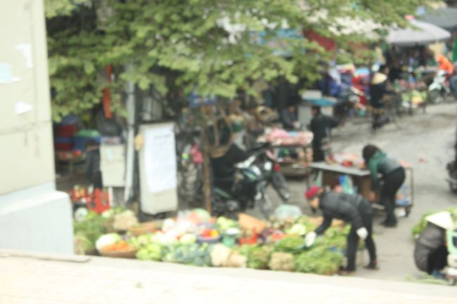 タイルはもう終わり下のほうは花市場だとか、ハノイはこれから旧正月にかけていろいろな花が出回るそうです。<br /><br />最後までご覧いただきありがとうございました。
