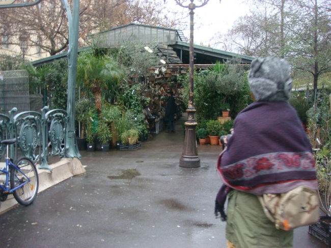 ノートルダム寺院の方へ。<br />途中花市に。ガーデニンググッズがめっちゃかわいい。<br />