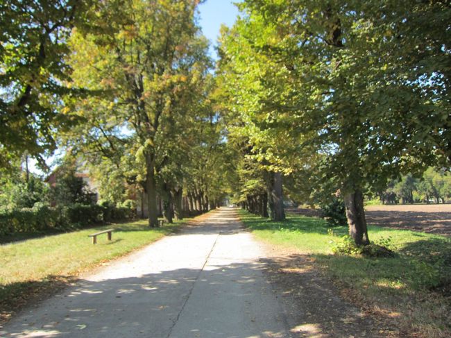 バス通りではなくこんな道を歩いて行くと、、、