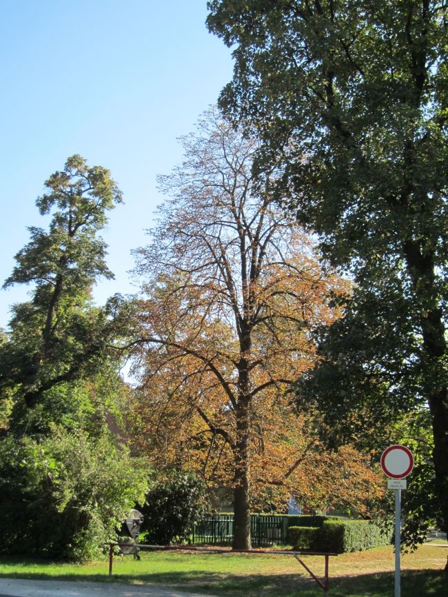 14：33のバスでショプロンに戻るまで、散策★